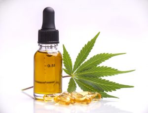 cbd for pets Frederick MD